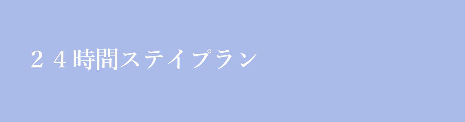 24時間ステイプラン